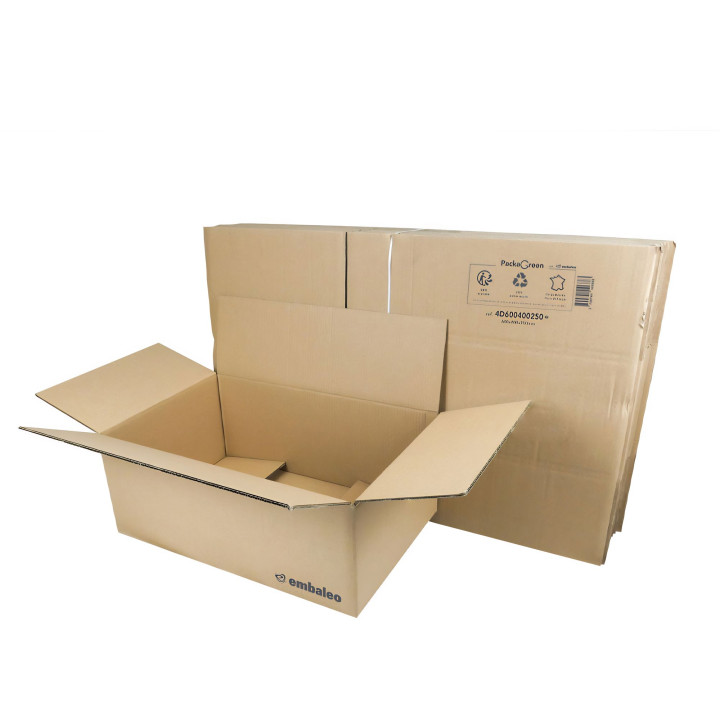 Carton double cannelure 60x40x25 cm type GALIA A10