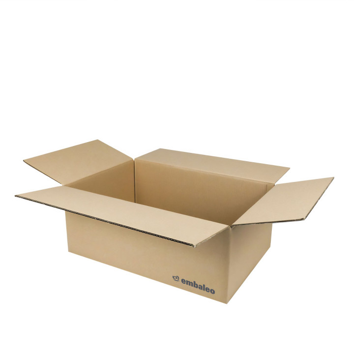 Carton double cannelure 60x40x25 cm type GALIA A10