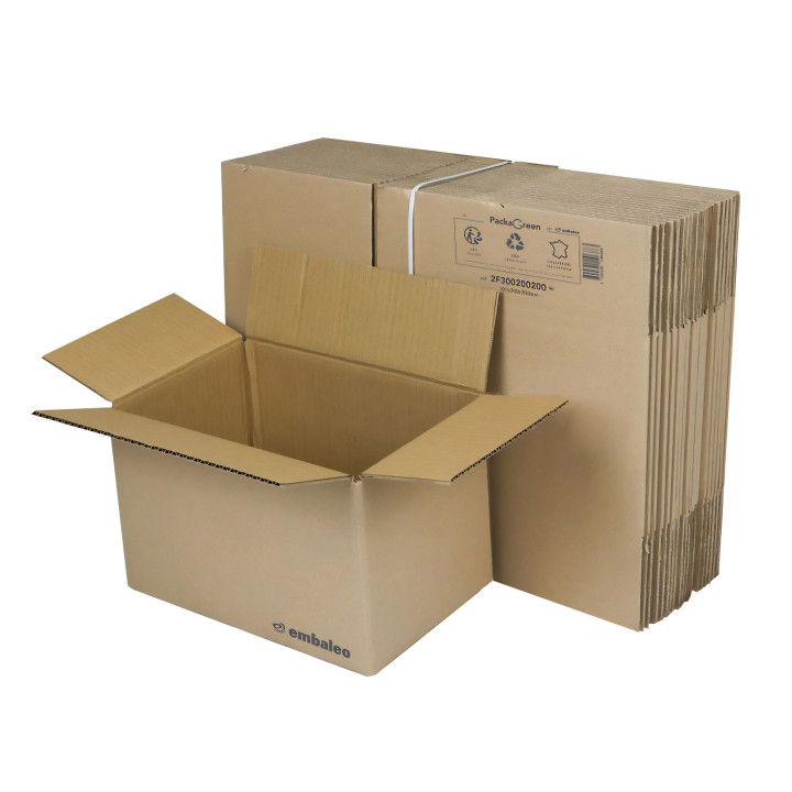 Carton simple cannelure  30 x 20 x 20 cm type Galia A15